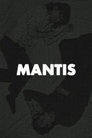 Mantis